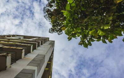 The Role of Sustainability in Commercial Real Estate Development